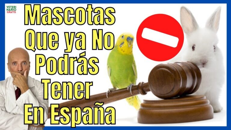 España: ¡Descubre la lista de animales ilegales y protege la biodiversidad!